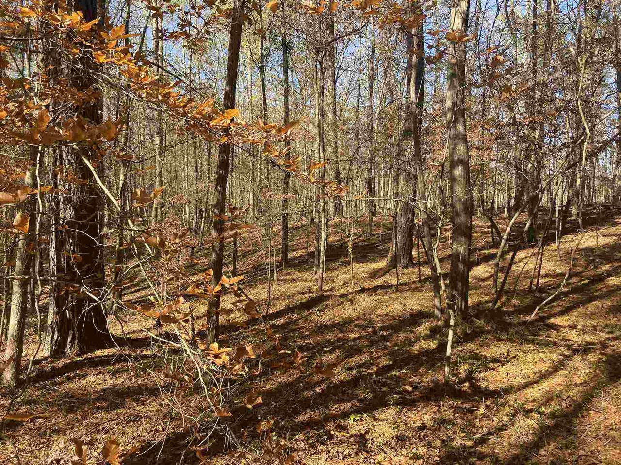 0 Whitehouse Pkwy - Photo 1