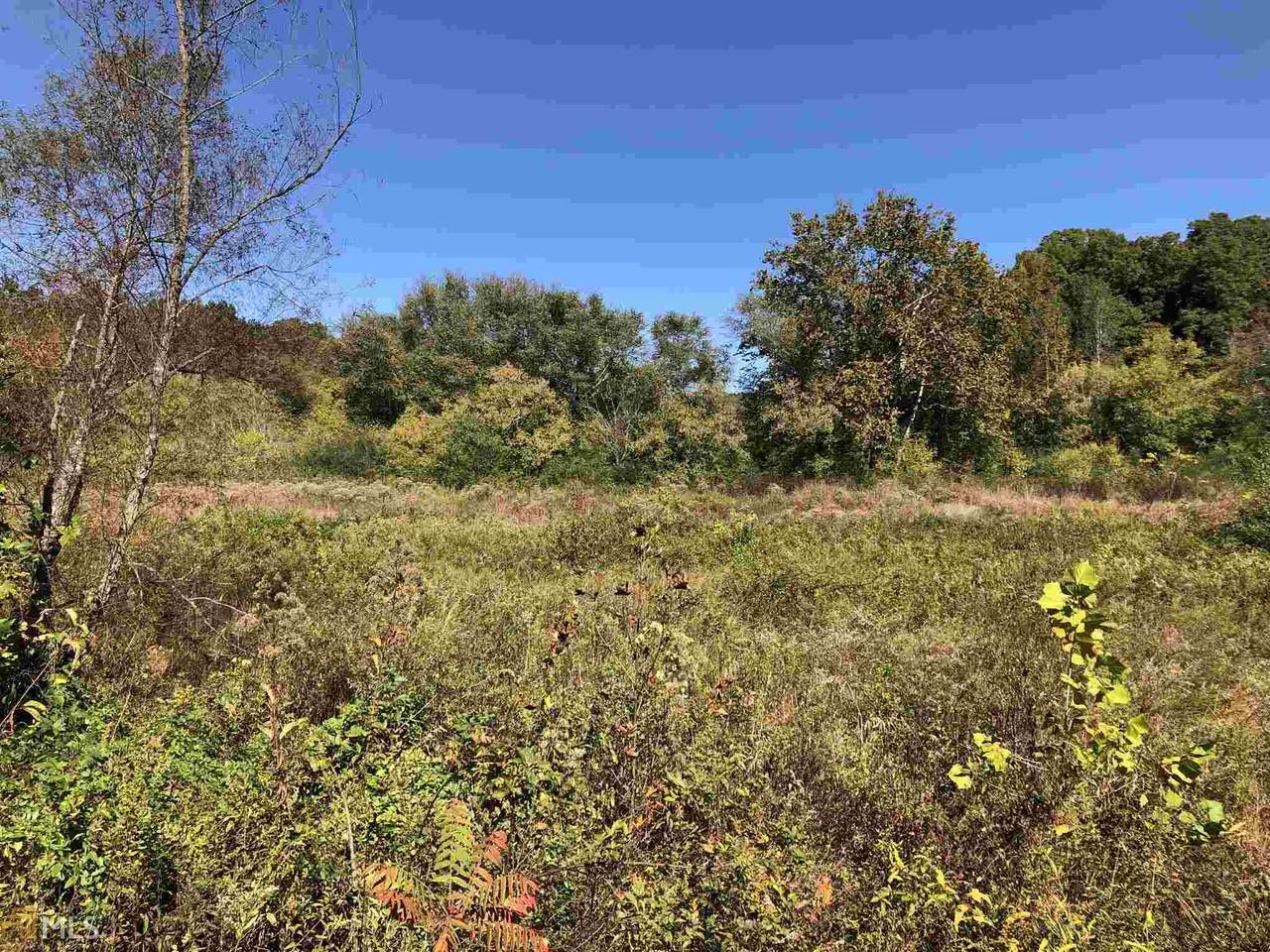 0 Claude Sims Rd - Photo 1