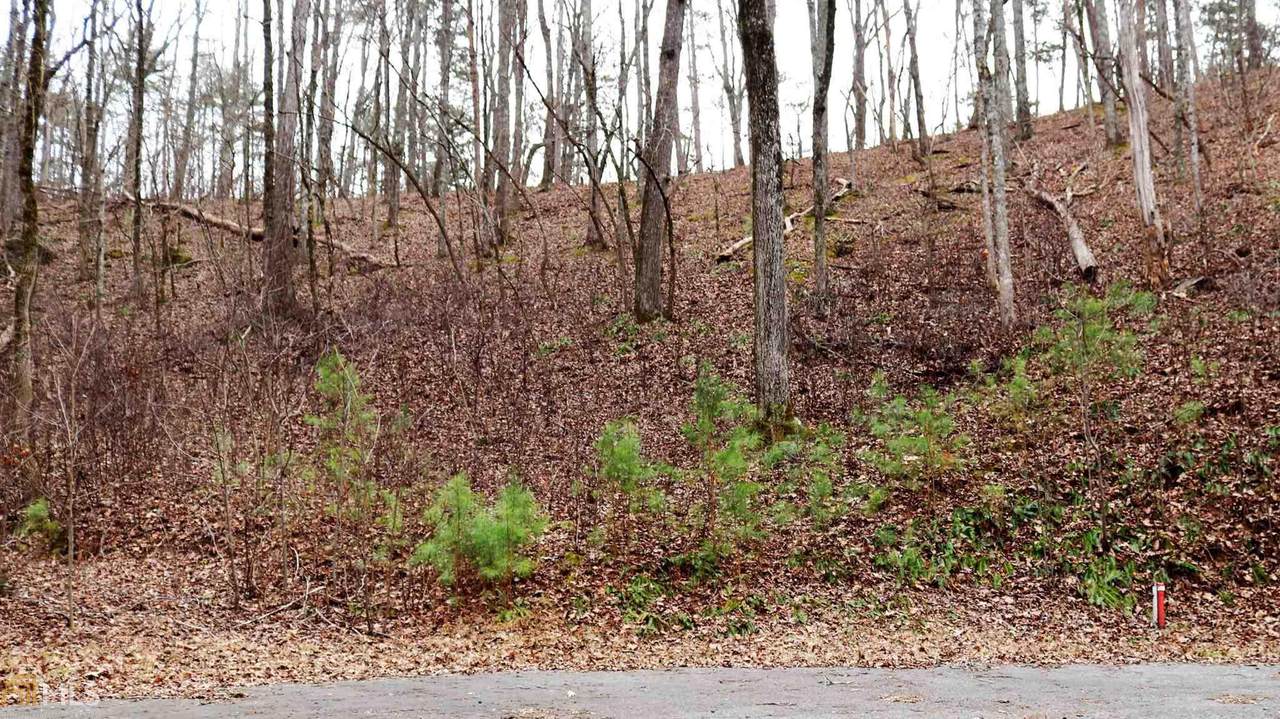 0 & 145 Hopewell Rd - Photo 1