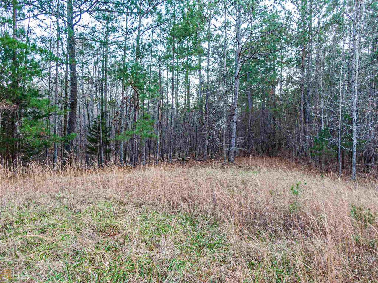 12624 Ga Highway 87 - Photo 1