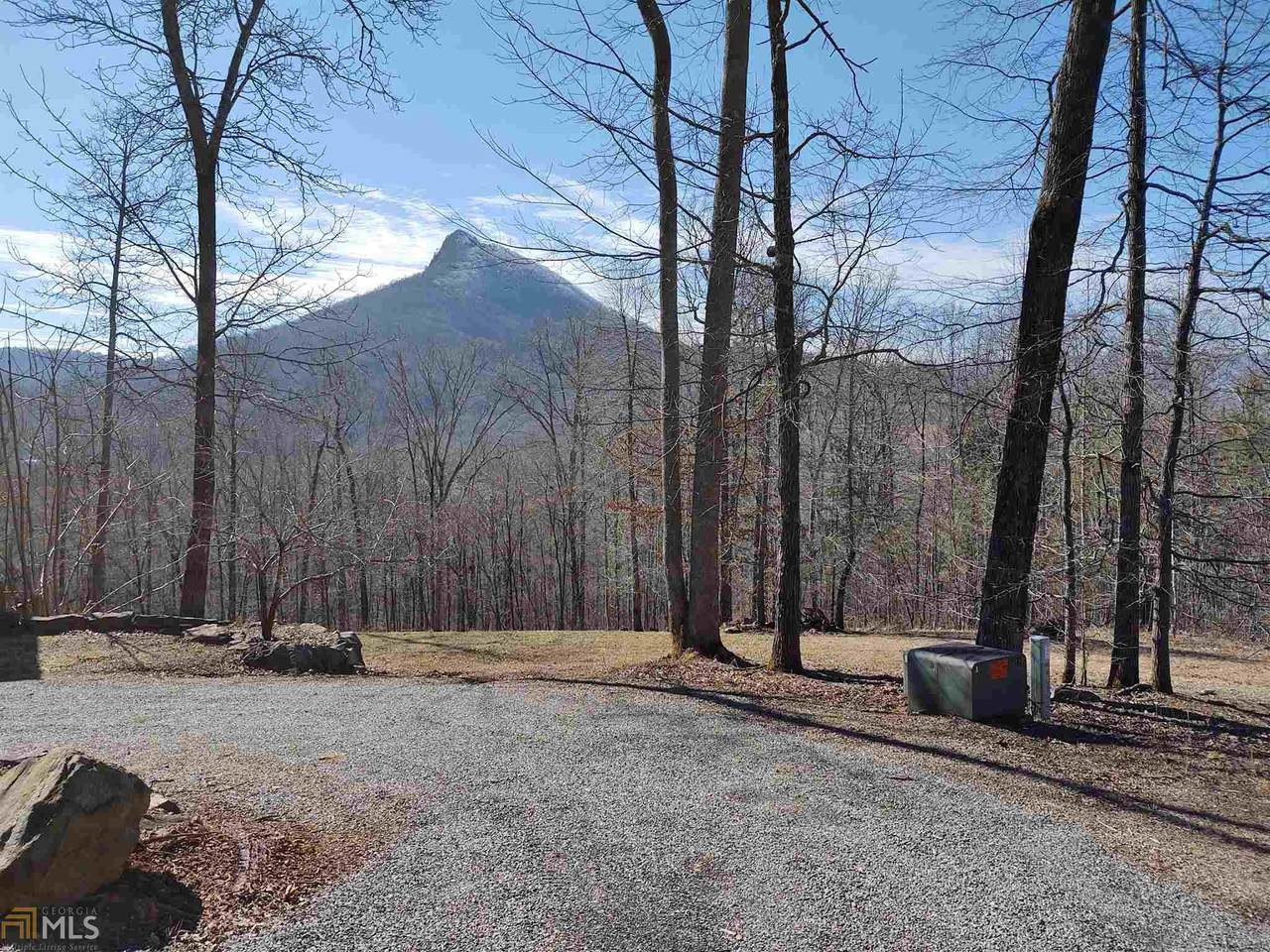 0 Mossy Oaks - Photo 1