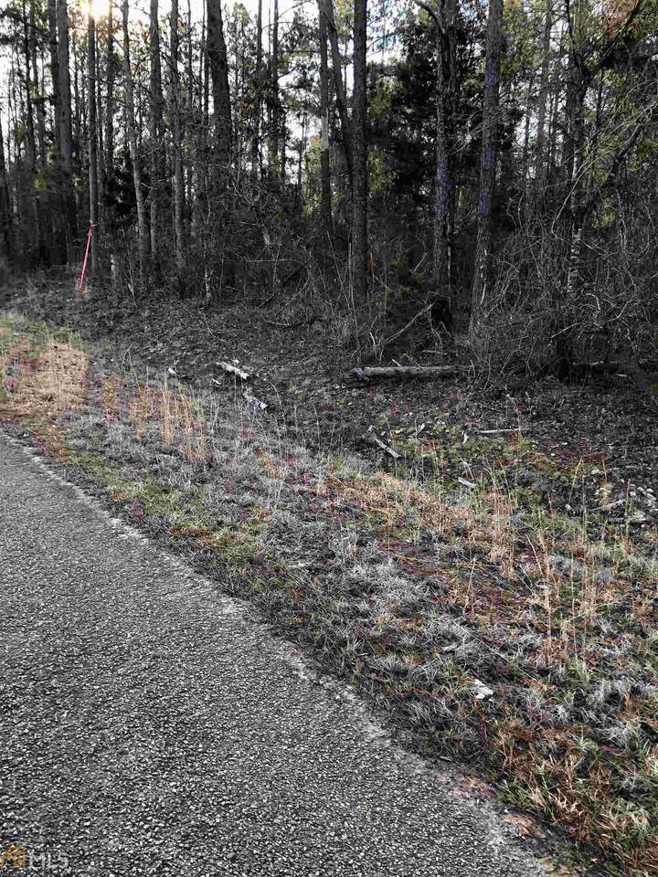 0 Potato Creek Rd - Photo 1
