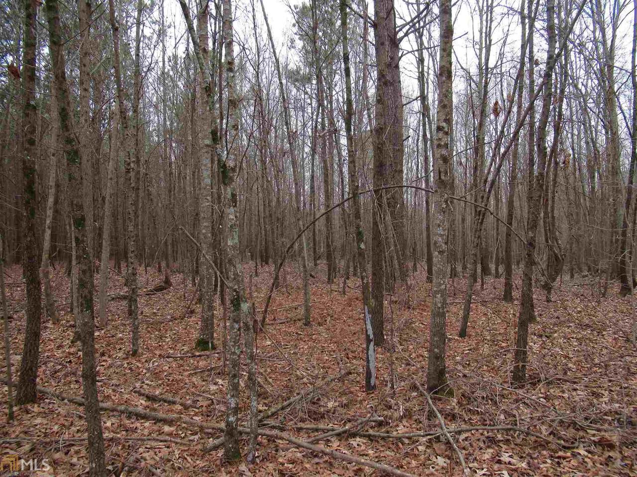 0B Ed Bennett Rd - Photo 1