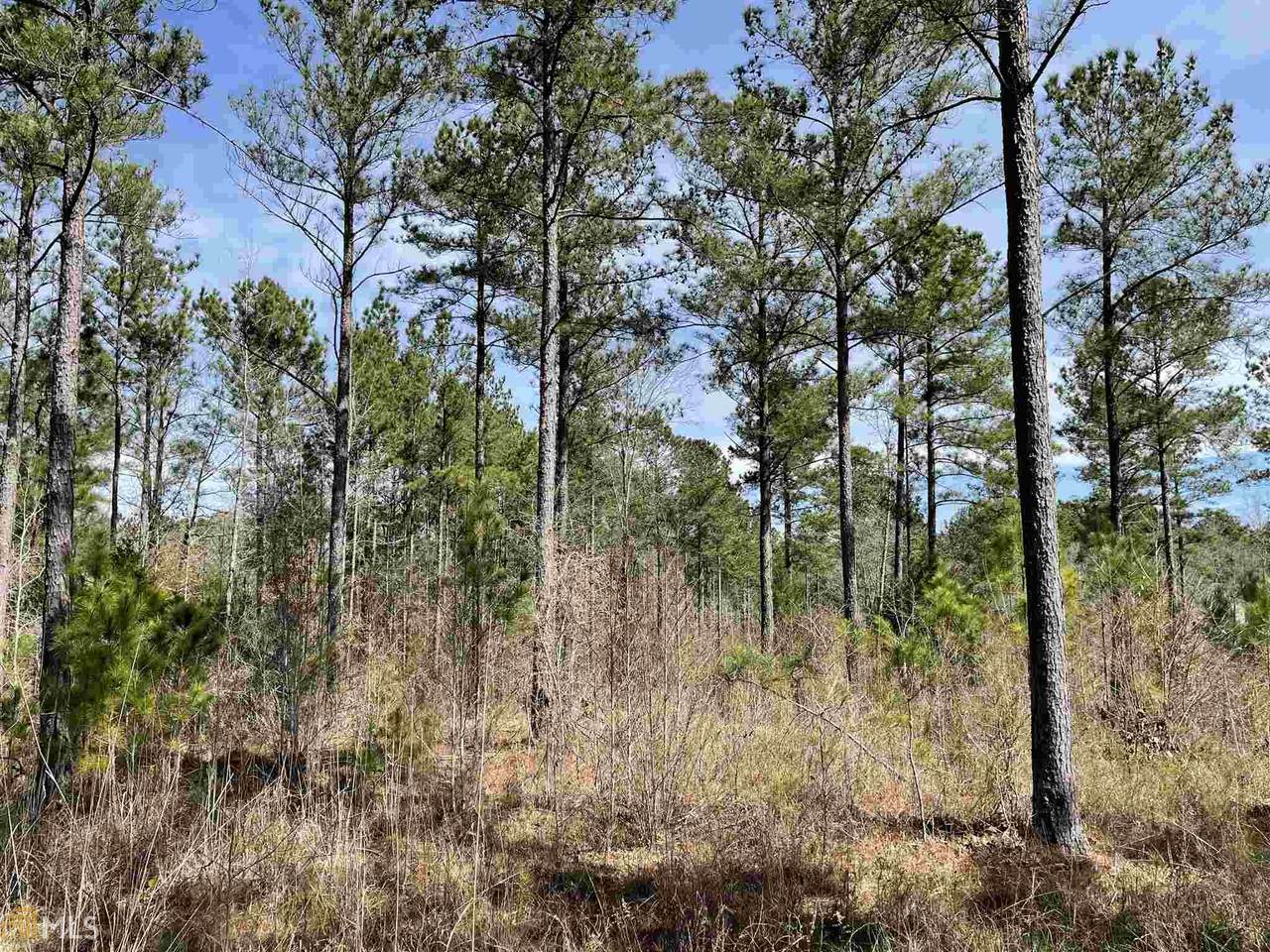 0 Middlebrooks Pond Rd - Photo 1