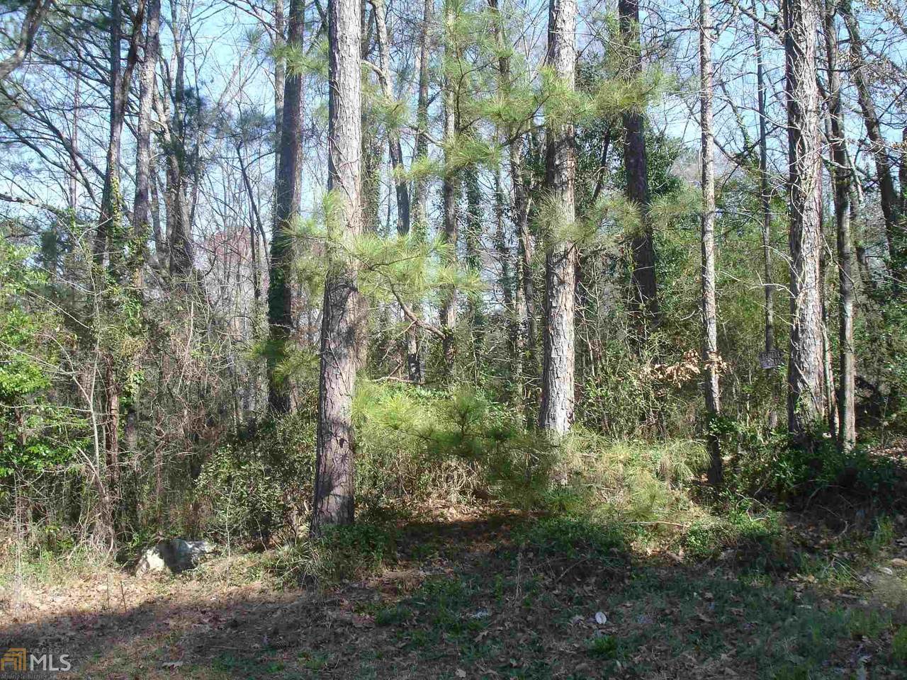 0 Cheryl Lynne Ln - Photo 1