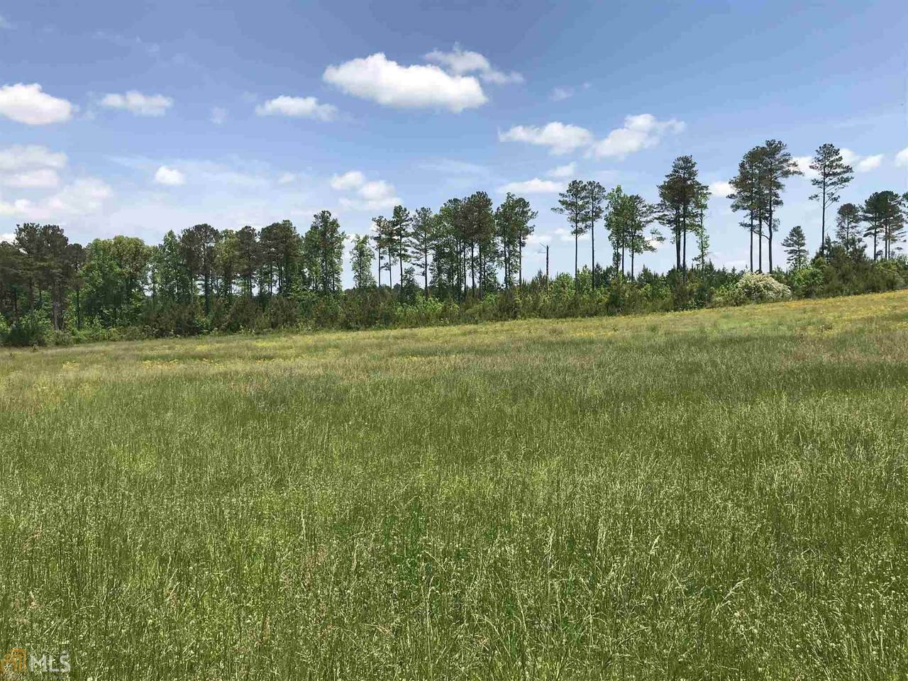 0 Bear Creek Rd - Photo 1