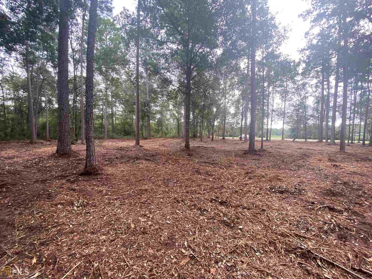 0 Mount Olive Church Rd - Photo 1