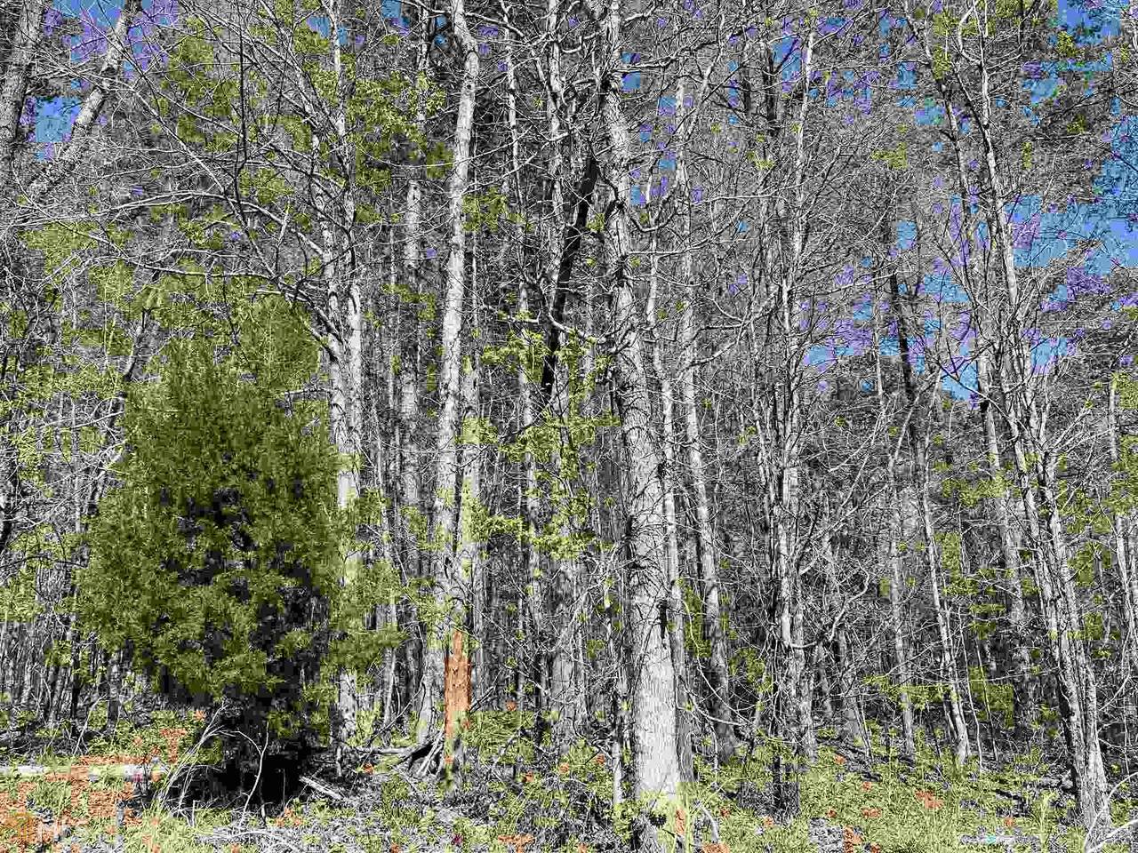 122 Julep Dr - Photo 1