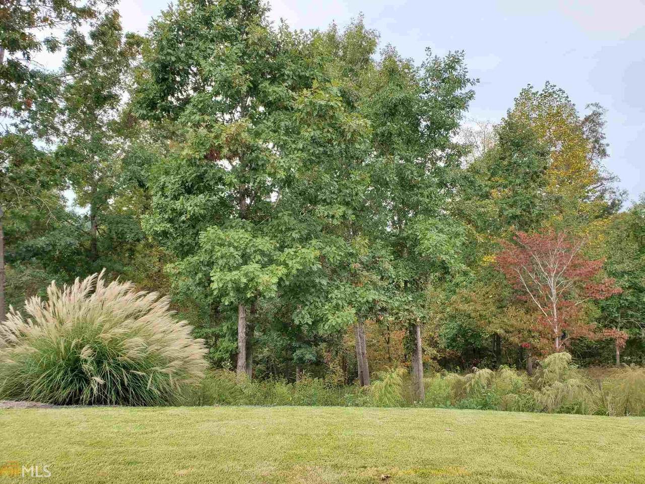 79 Southern Trce - Photo 1