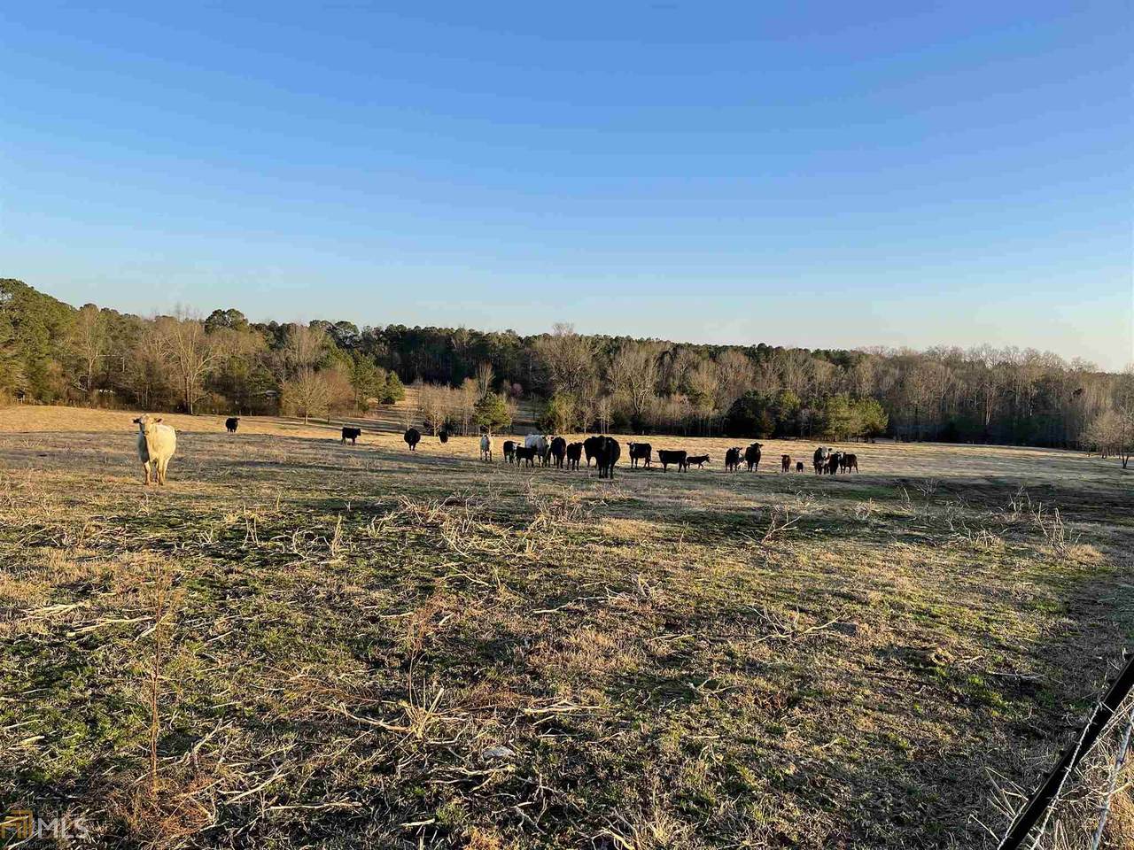 4731 Paoli Rd - Photo 1