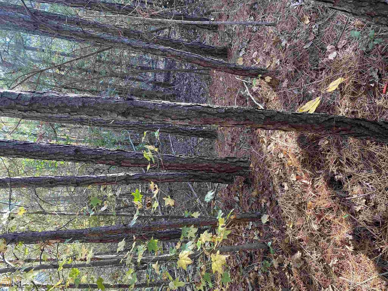 0 Dogwood Ln - Photo 1