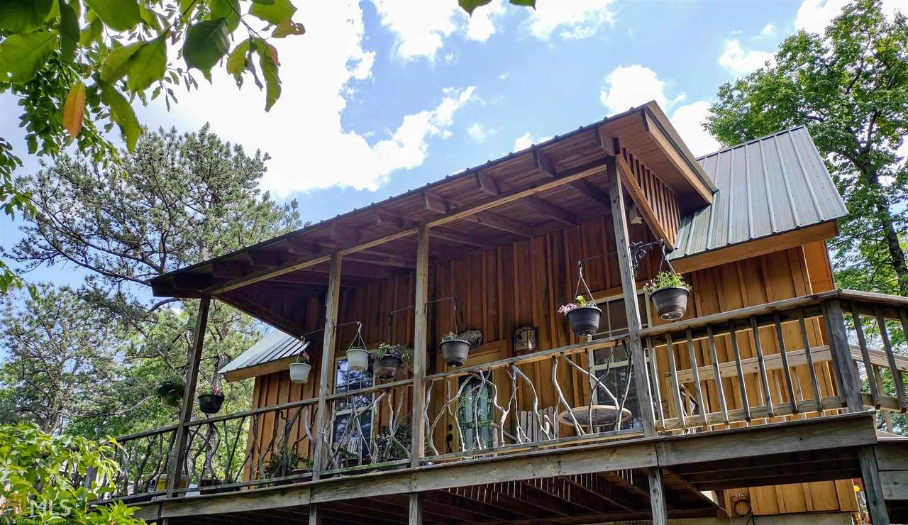 464 Wood Sorrell - Photo 1