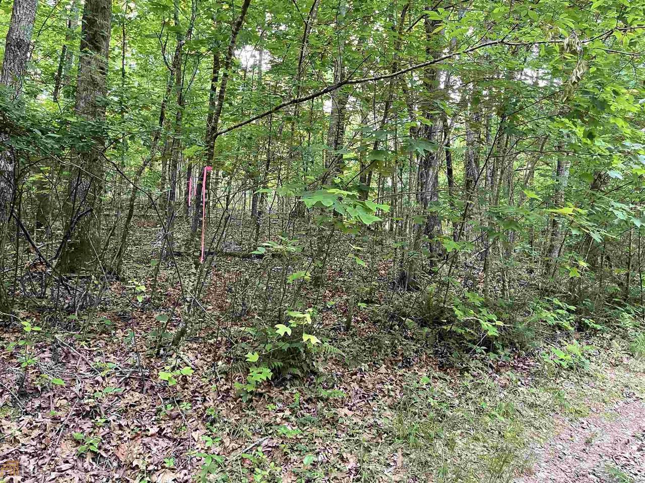 0 South Road - Photo 1