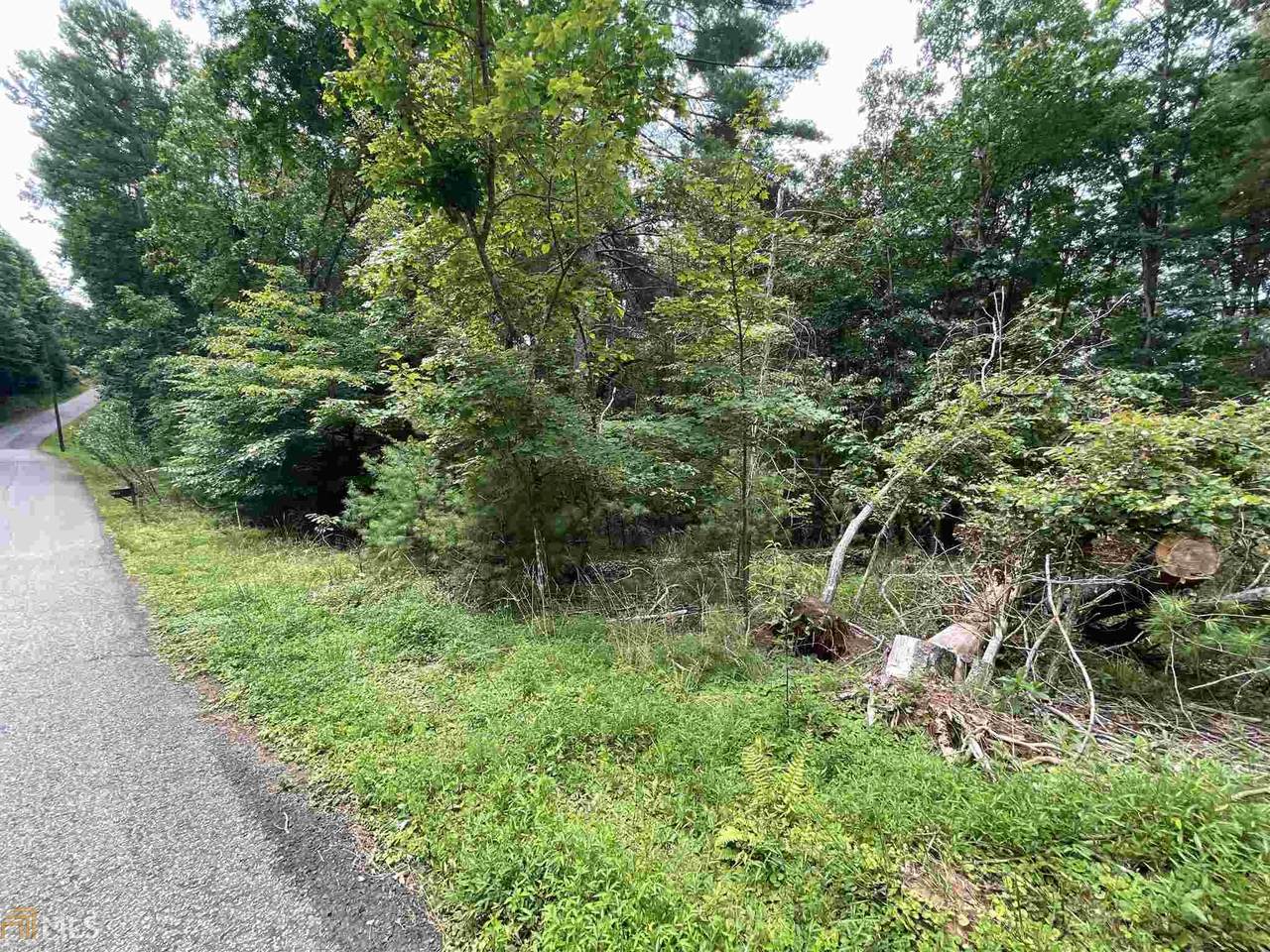 0 Laurel Circle - Photo 1