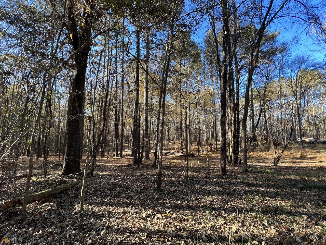 TRACT 4 Monroe Jersey Road - Photo 1