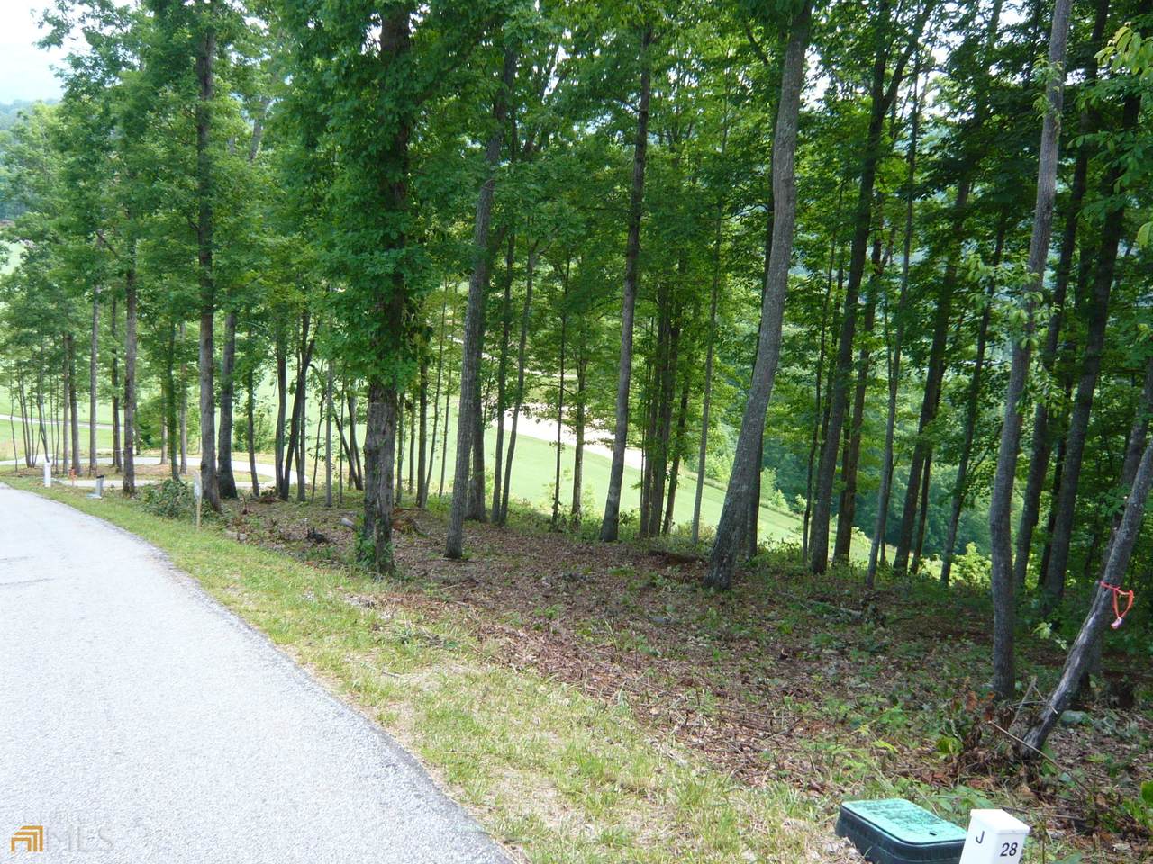27 J Bent Grass - Photo 1