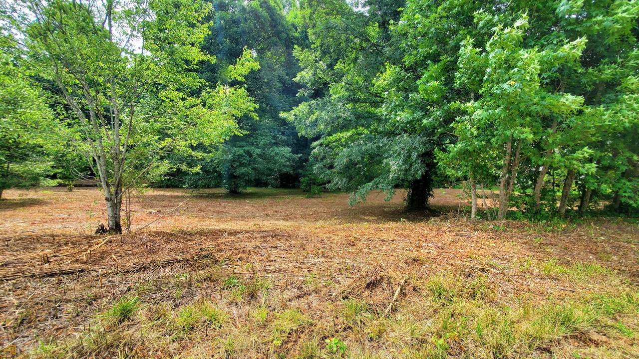 LOT 10 Stonington Drive - Photo 1