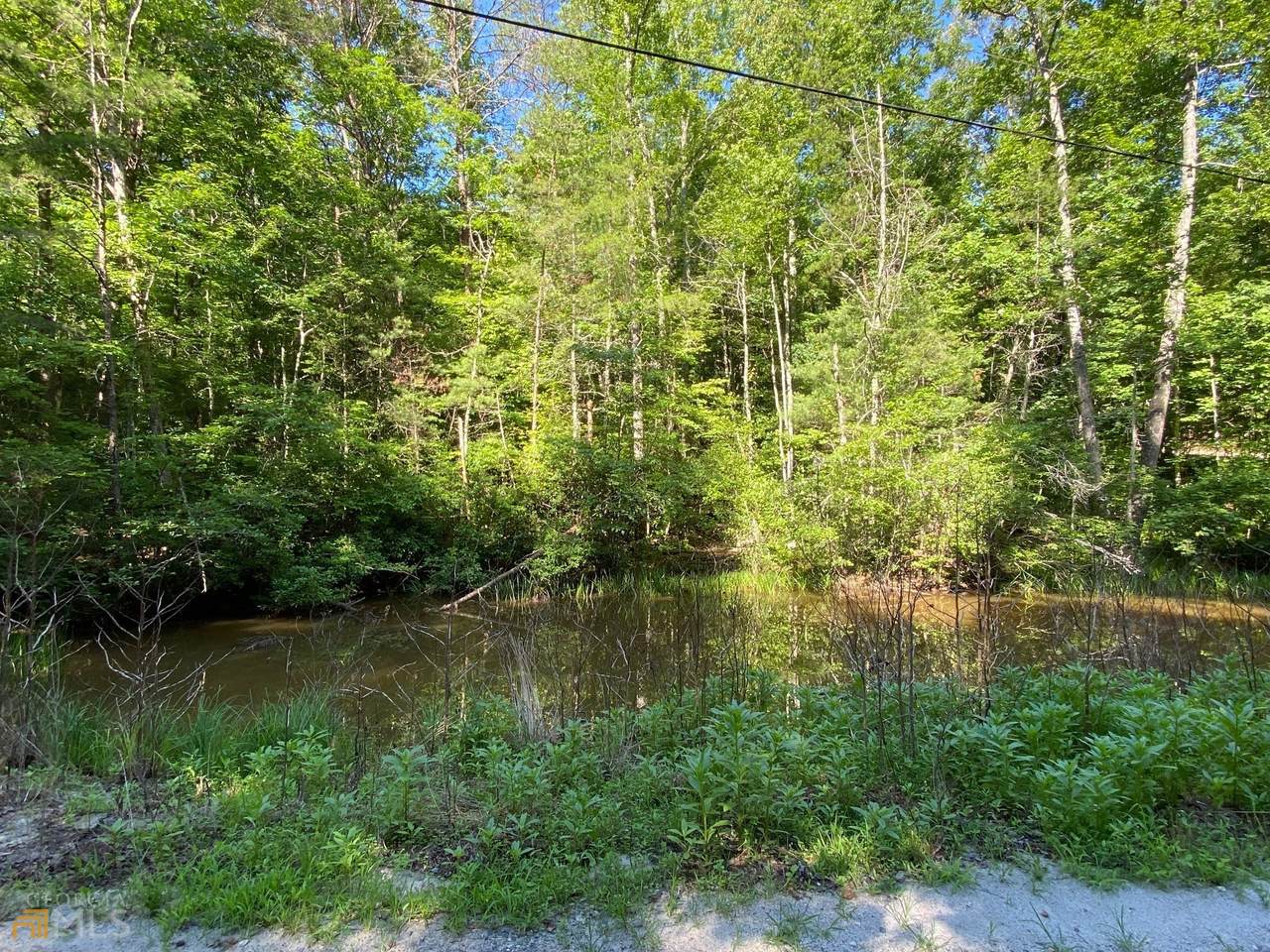 0 Loblolly Drive - Photo 1