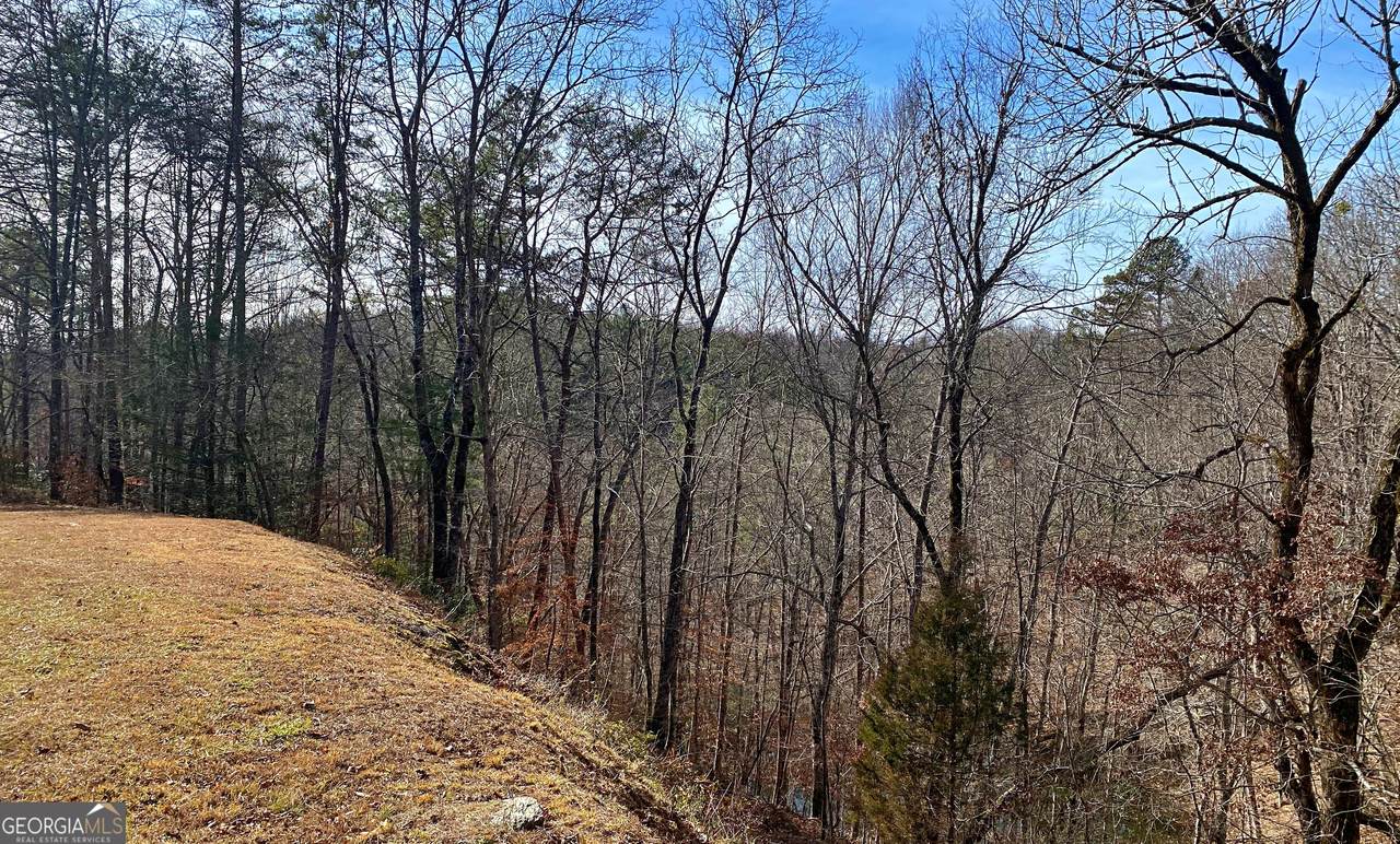 0 Lot 150 Sky Country Road - Photo 1