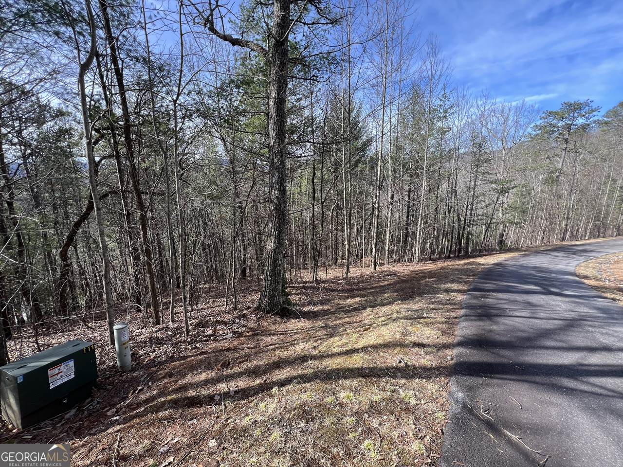 02.17AC LOT 11 Choestoe Trail - Photo 1