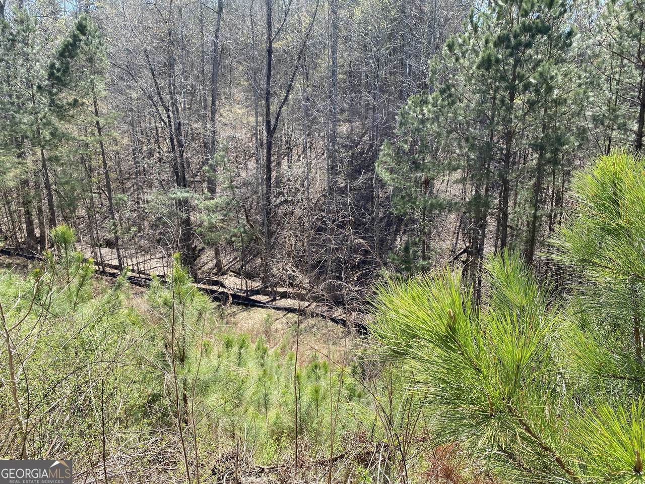 405 Trumpet Circle - Photo 1