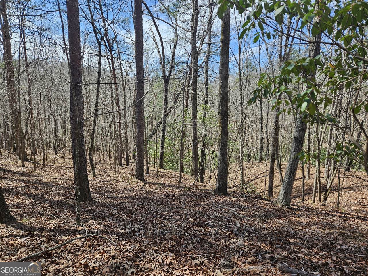 0 Bumpy Trail - Photo 1