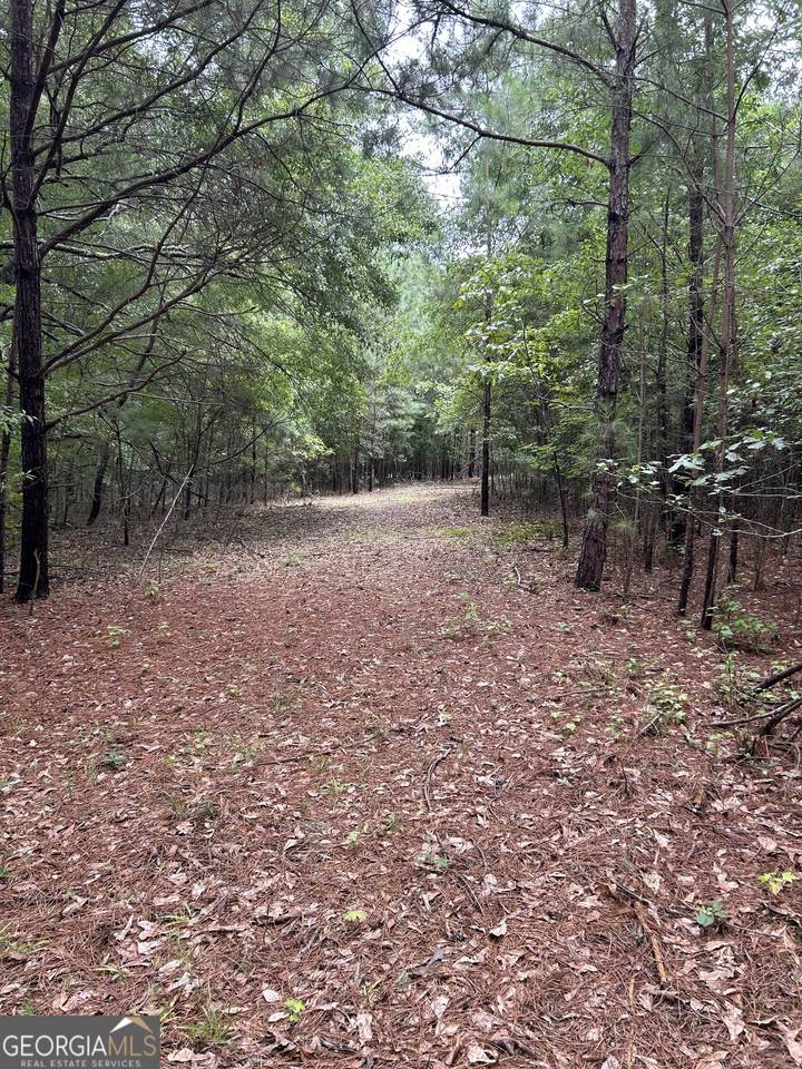 0 Callaway Road - Photo 1