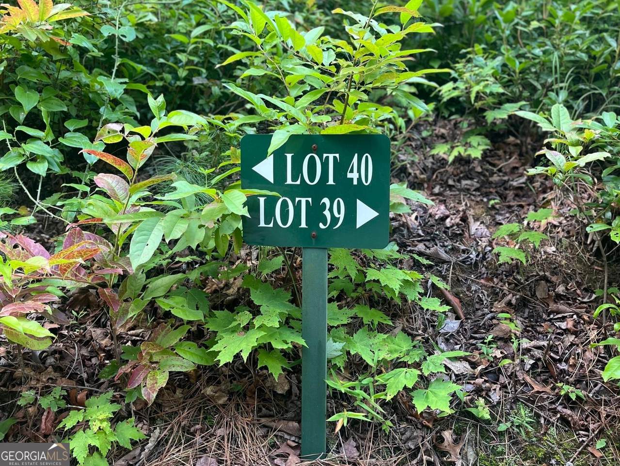 LOT 40 Anderson Drive - Photo 1