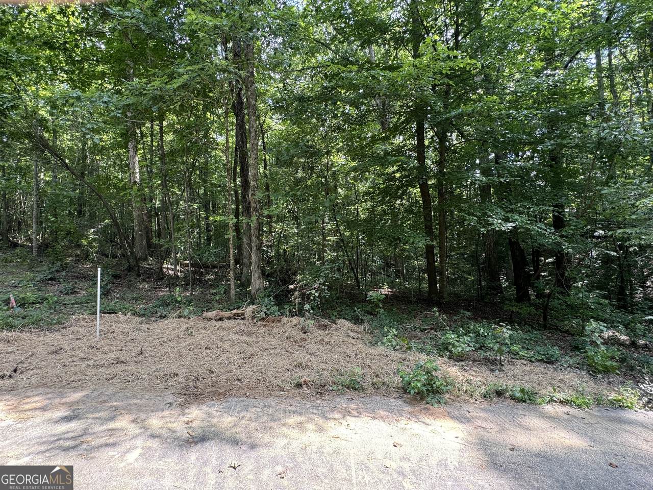 1812 Kings Row - Photo 1