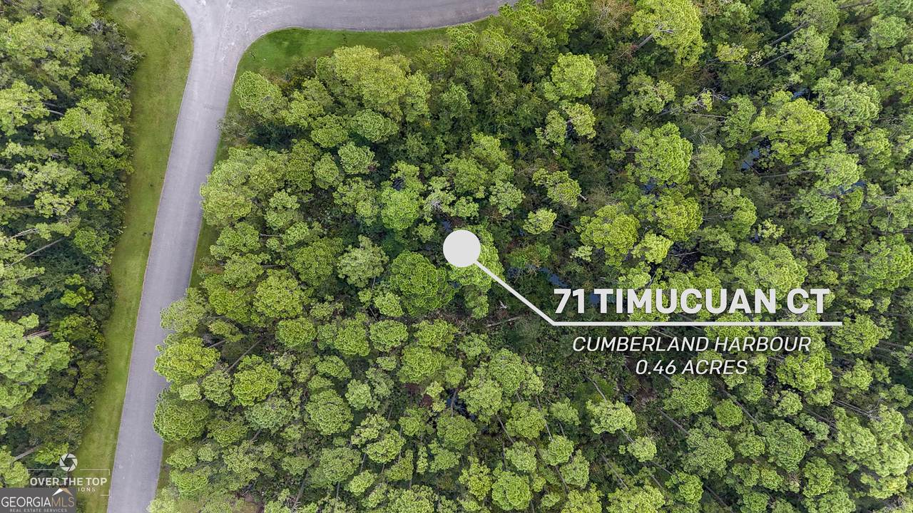 V/L 71 Timucuan Court - Photo 1