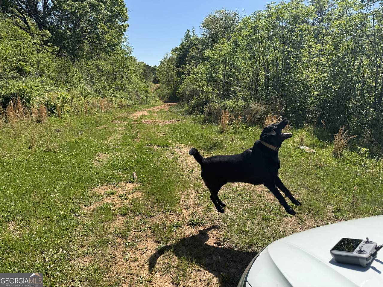 0 Us 53 Highway - Photo 1