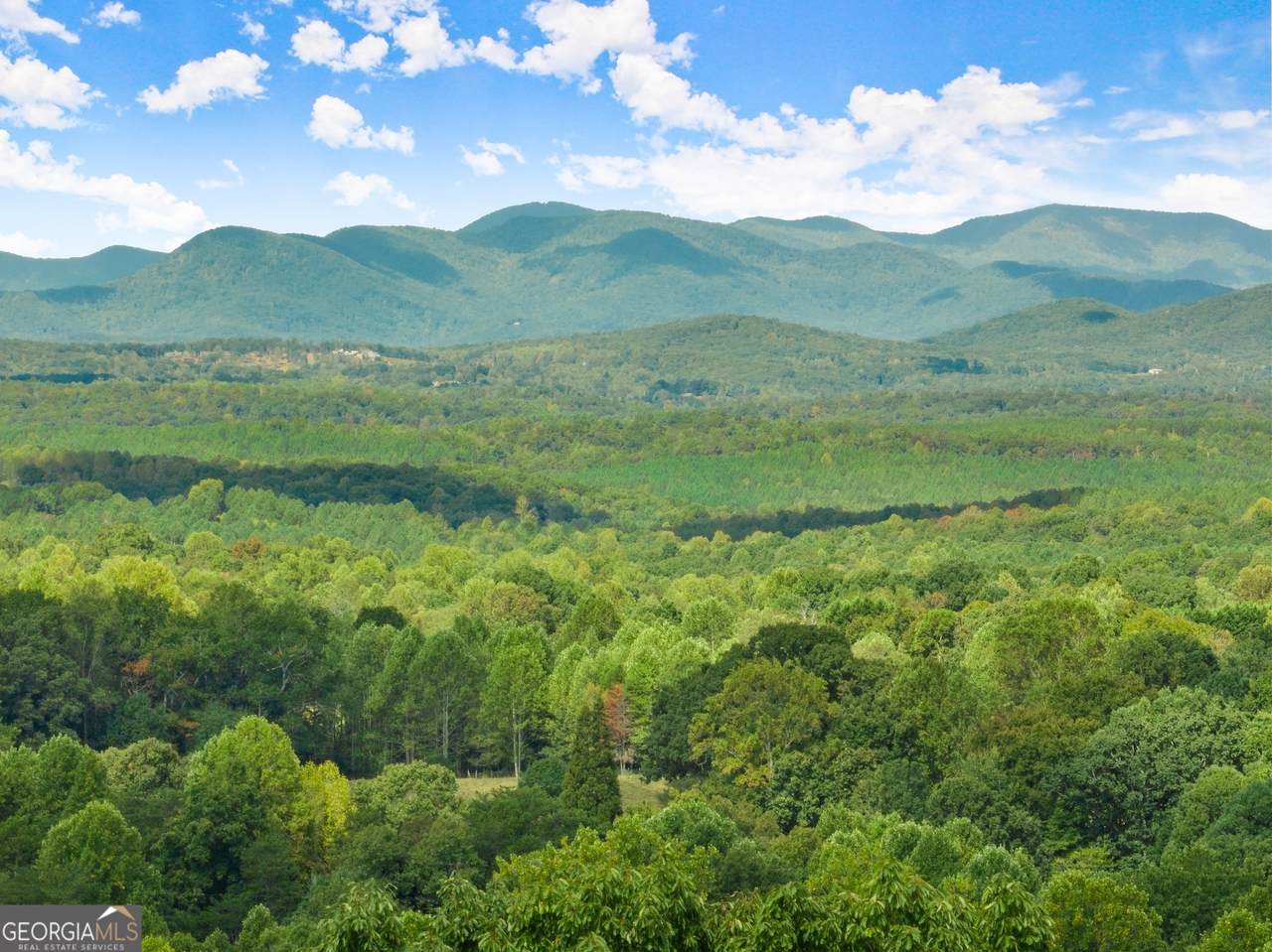 25 Long Mountain Trail - Photo 1