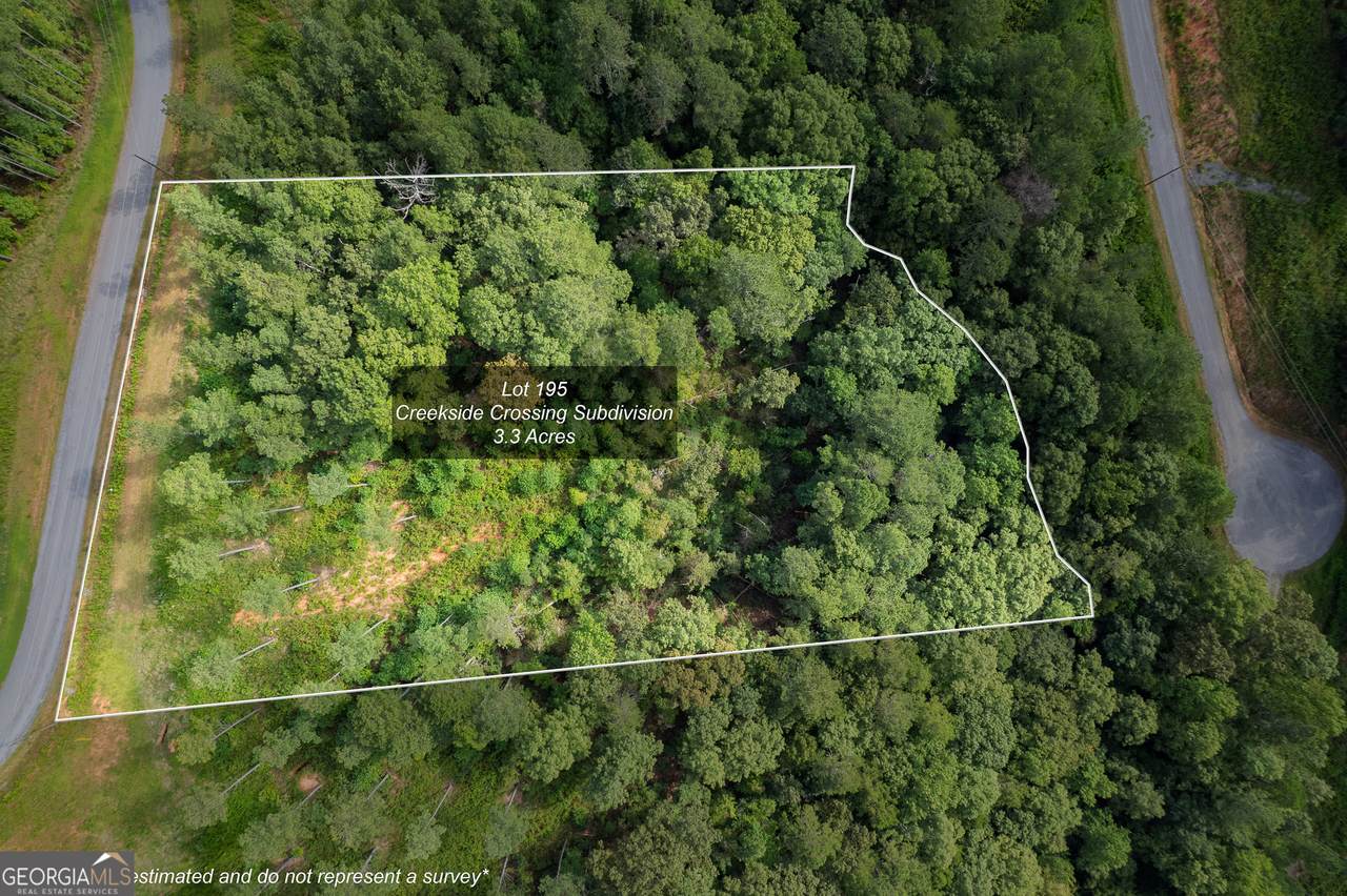LOT 195 Blalock Mountain Road - Photo 1