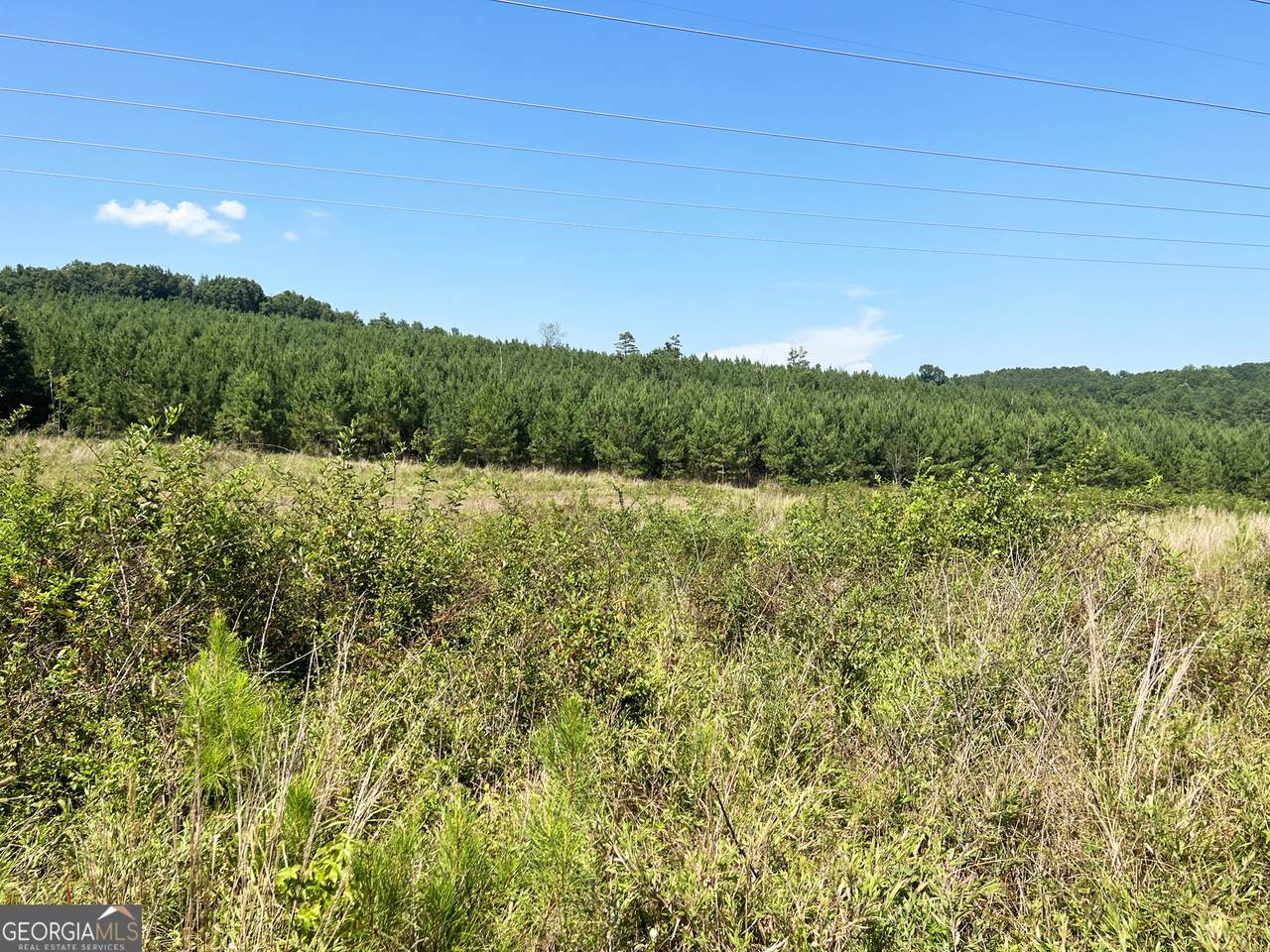 0 Booger Hollow Road - Photo 1