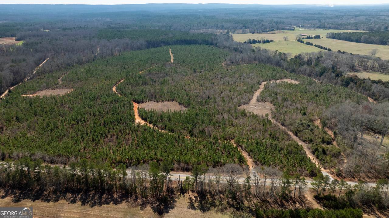 0 Ga Highway 18 - Photo 1