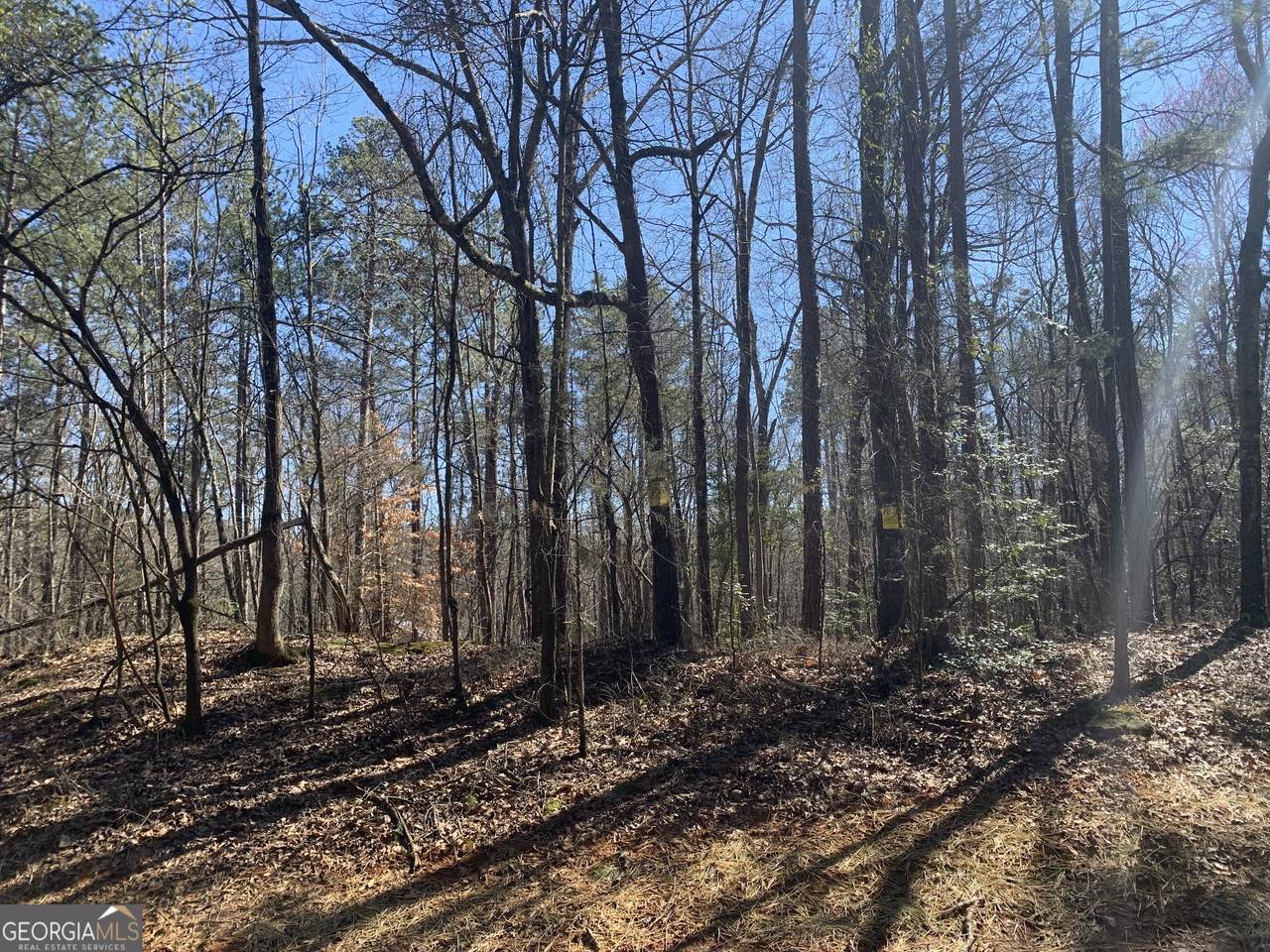 0 Veterans Drive - Photo 1