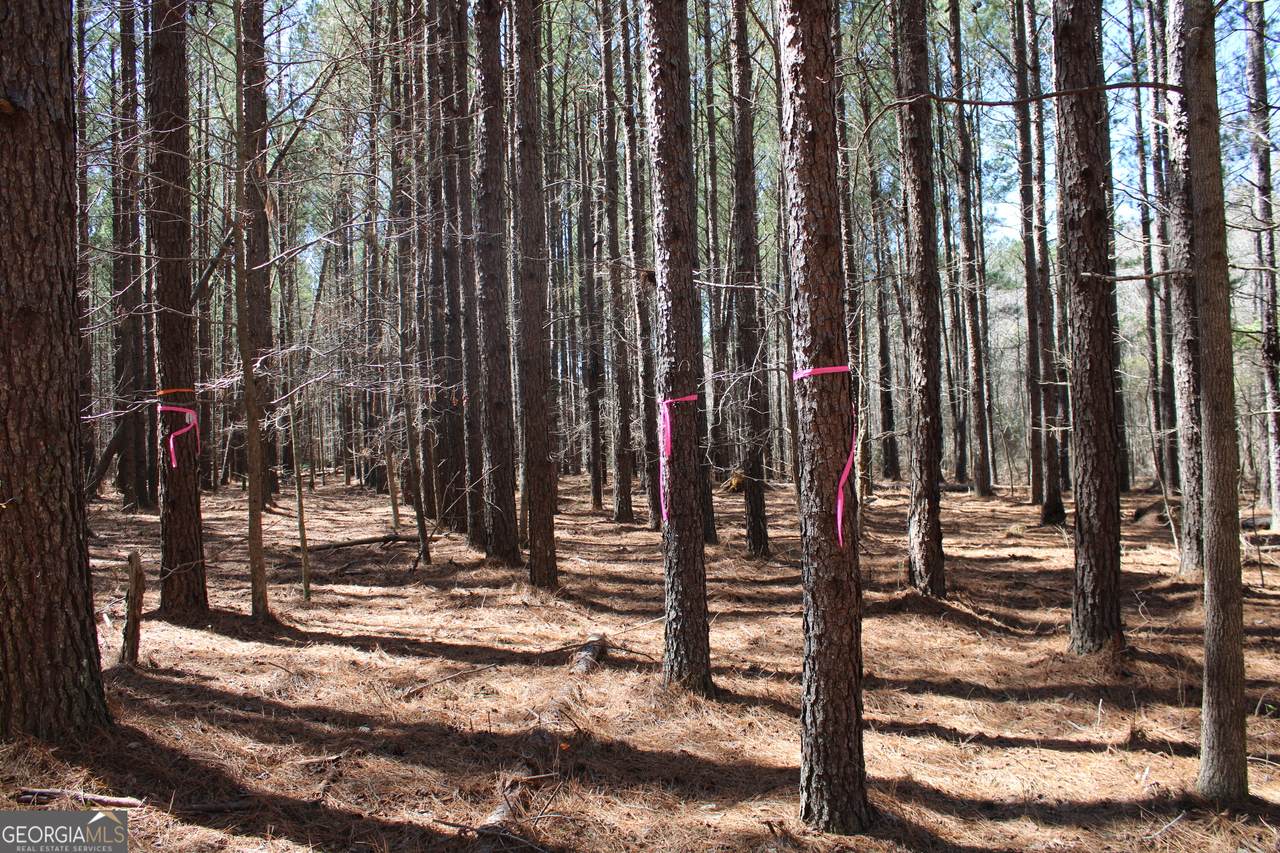 0 Jackson Gin Road - Photo 1