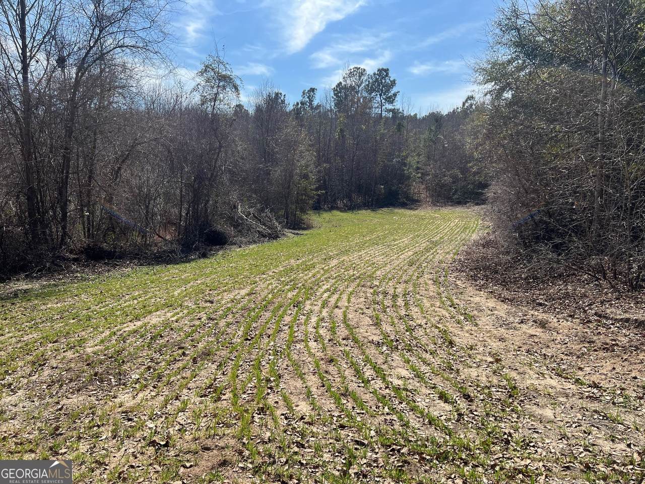 660 Brooks Road - Photo 1