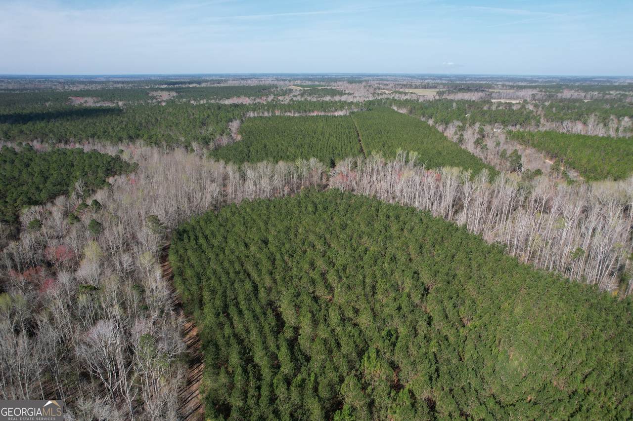 889 Ga Highway 192 - Photo 1