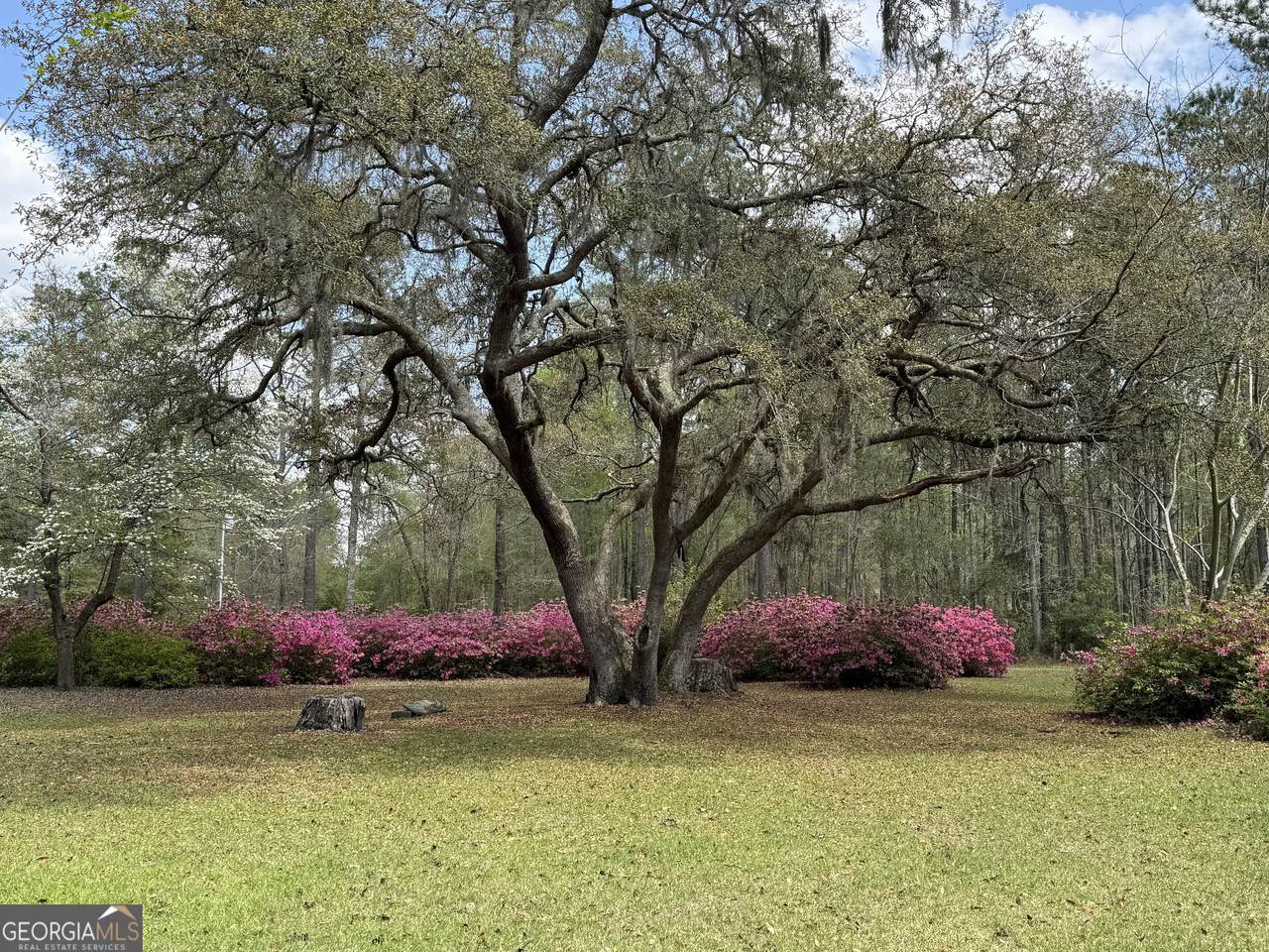 0 Riverside Drive - Photo 1