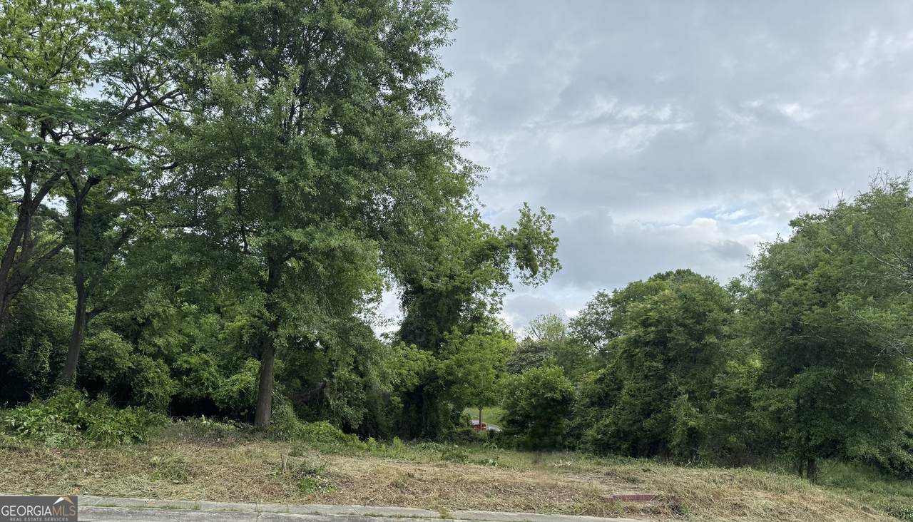 561 Rutherford Avenue - Photo 1