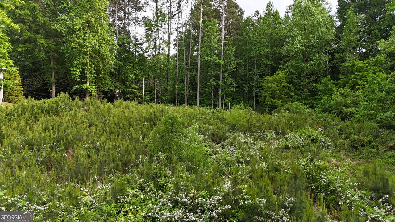 5886 Bridgemont Place - Photo 1