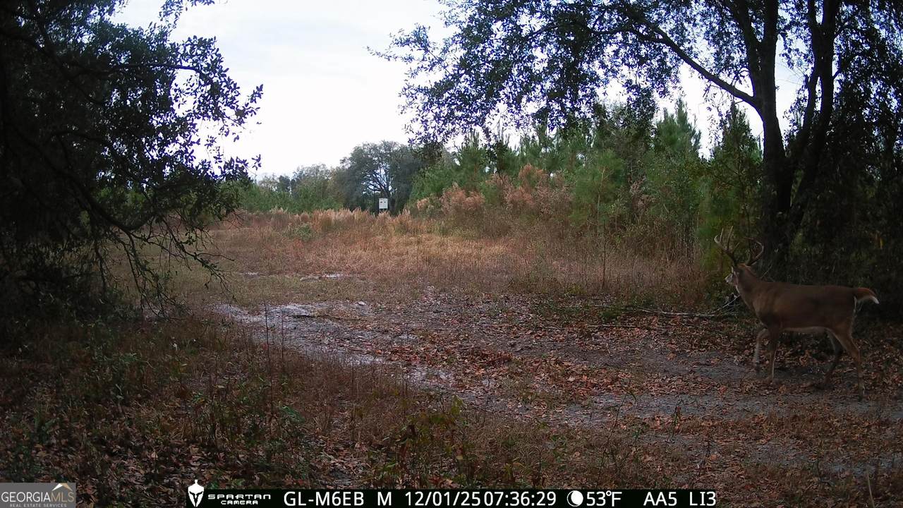 0 Cumbie Road - Photo 1