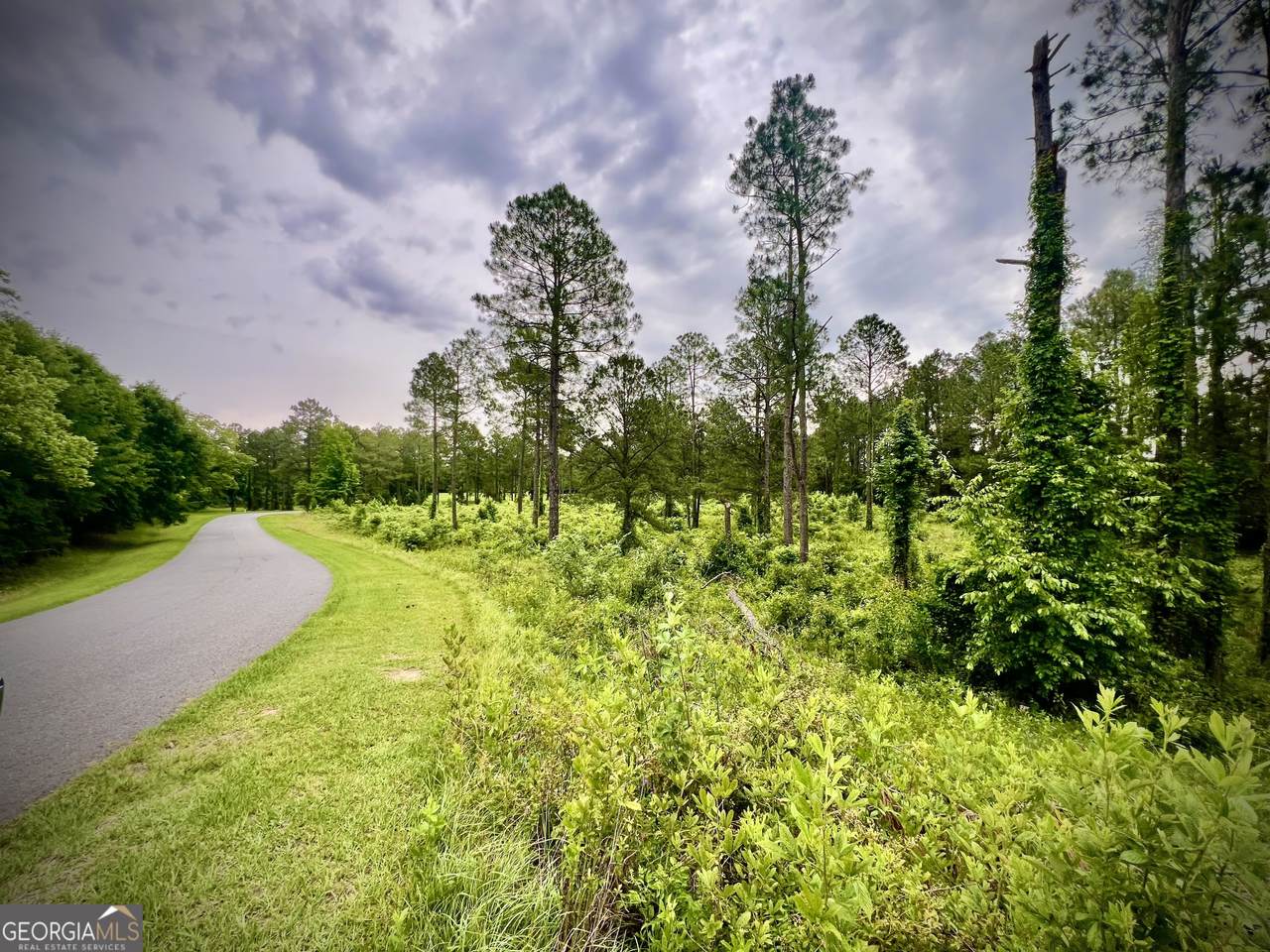 0 Walke Dairy Road - Photo 1