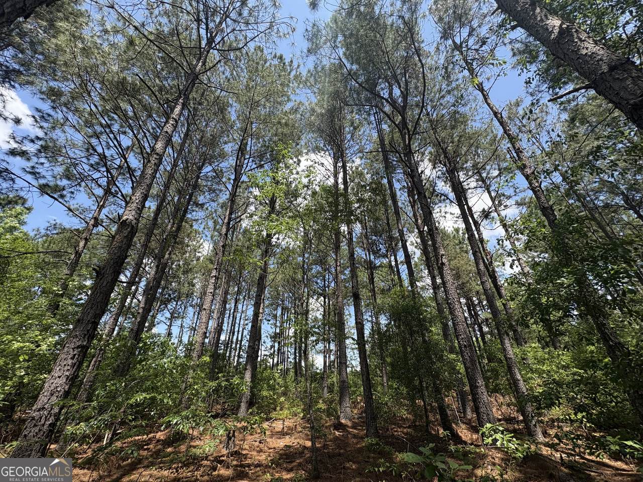 850 Buttermilk Road - Photo 1