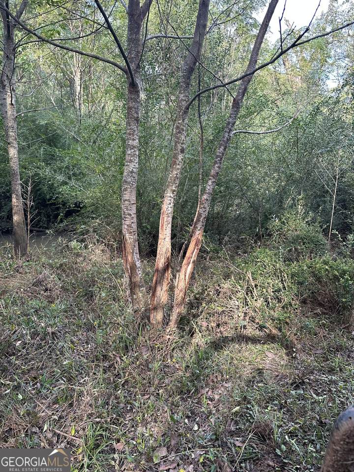 0 Seven islands Road - Photo 1