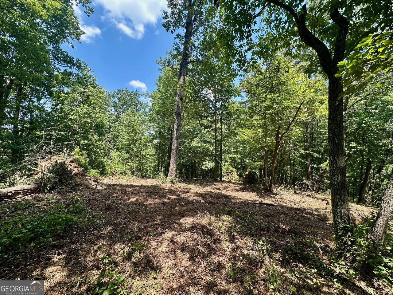 6.2 Mincey Acres Drive - Photo 1