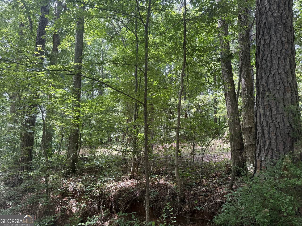 0 Turner Road - Photo 1