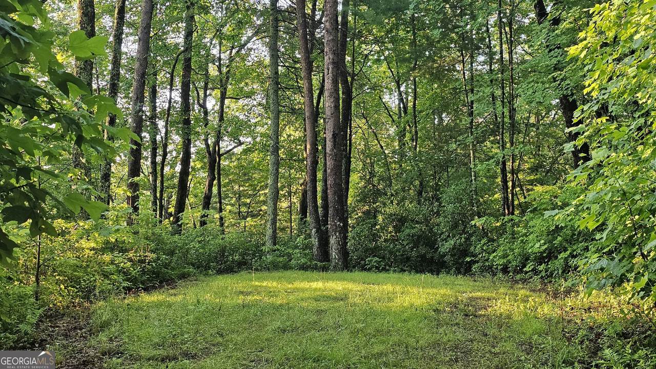 0 Lilly Lou Trail - Photo 1