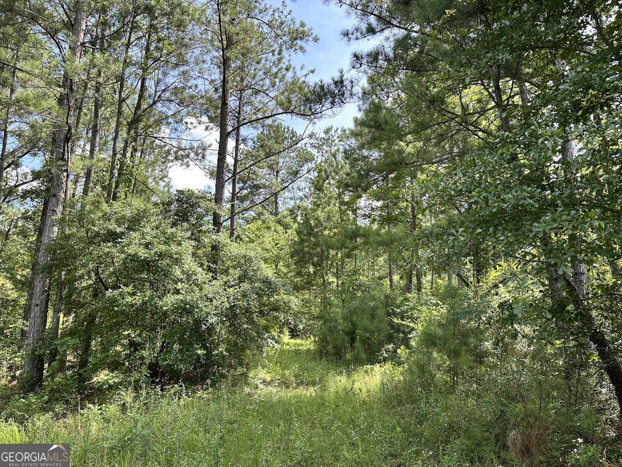 180 George Gray Road - Photo 1